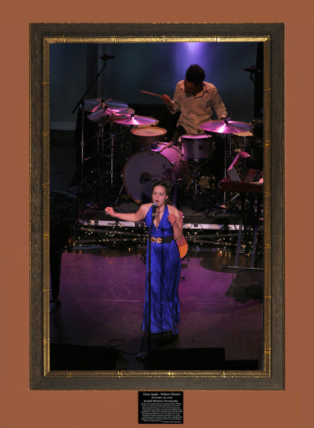 Fiona Apple Live at the Wiltern Theater Los Angeles Photograph